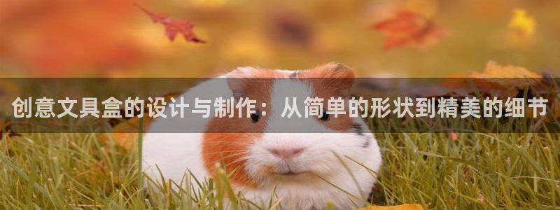 彩名堂怎么打最稳：创意文具盒的设计与制作