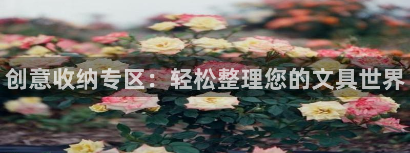 彩名堂01计划：创意收纳专区：轻松整理您