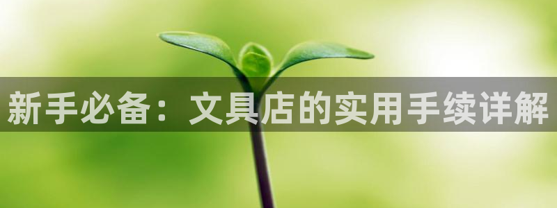 彩名堂官网2：新手必备：文具店的实用手续