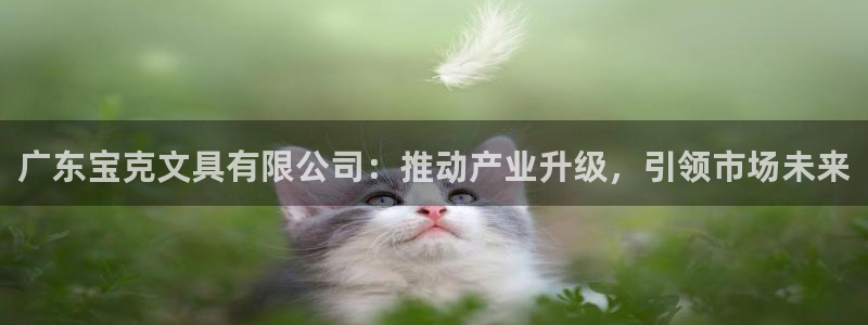 正规彩名堂官网计划：广东宝克文具有限公司