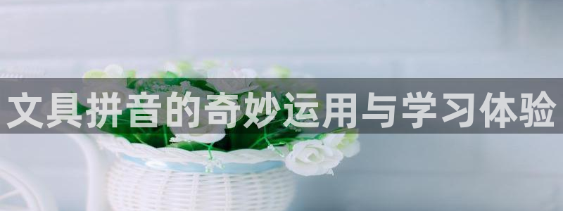 为什么彩名堂今天不能用：文具拼音的奇妙运