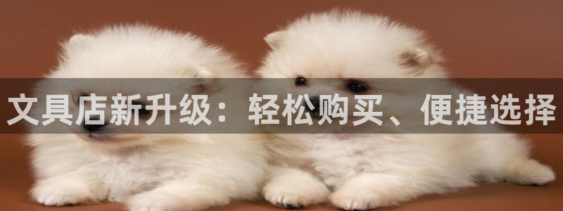 彩名堂计划怎么买胜率高：文具店新升级：轻
