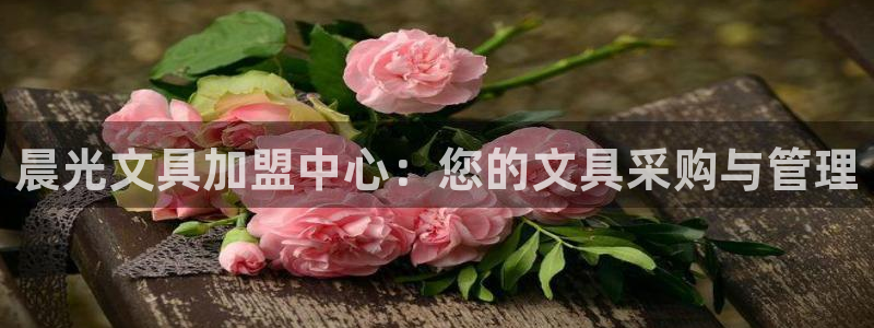 彩名堂怎么用不输：晨光文具加盟中心：您的