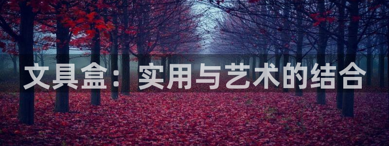 彩名堂安卓客户端官网：文具盒：实用与艺术