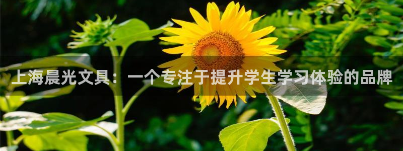 彩名堂最新计划下载地址：上海晨光文具：一