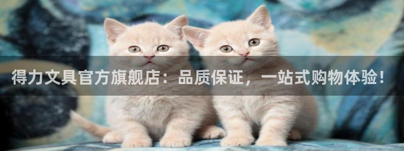彩名堂计划怎么跟,为什么我一跟就挂：得力