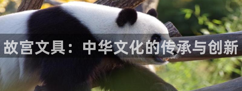 彩名堂免费计划官网老版本：故宫文具：中华