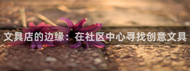 彩名堂官网计划：文具店的边缘：在社区中心