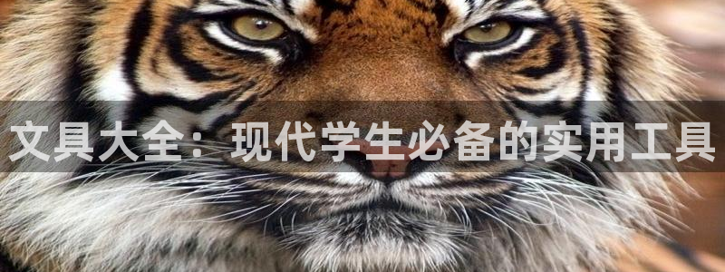 彩名堂官网在线计划：文具大全：现代学生必