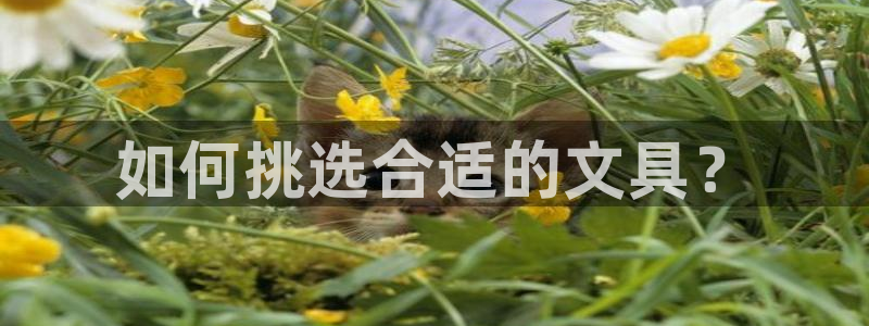 彩名堂最新免费计划官网：如何挑选合适的文