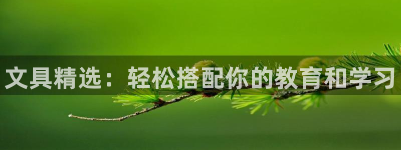 彩名堂安卓客户端官网下载：文具精选：轻松