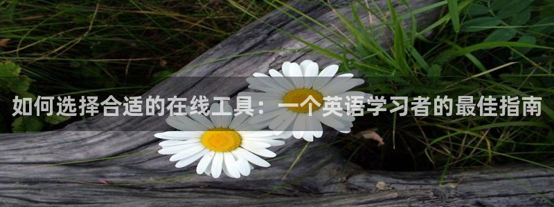 彩名堂app官方网：如何选择合适的在线工