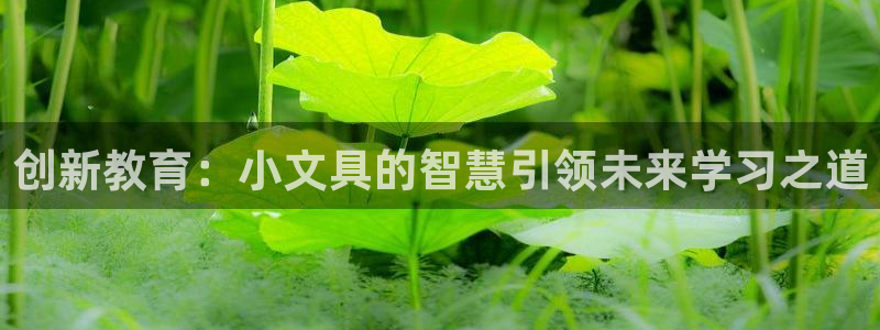 彩名堂免费计划官网50：创新教育：小文具