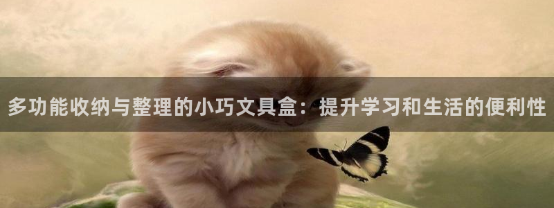 彩名堂手机版官网：多功能收纳与整理的小巧