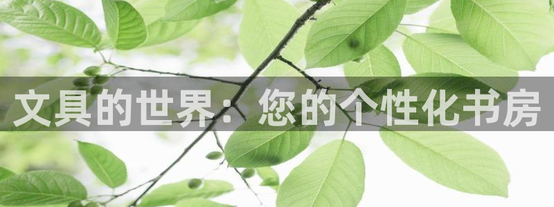彩名堂手机客户端官网：文具的世界：您的个