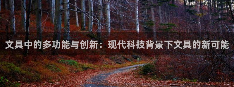 彩名堂客服电话号码：文具中的多功能与创新