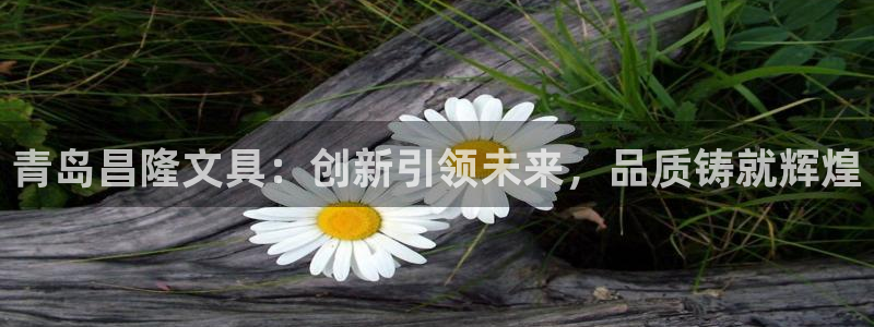 彩名堂免费计划官网老版本：青岛昌隆文具：