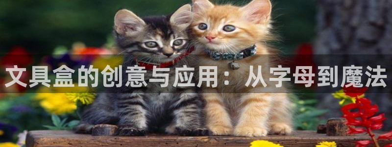彩名堂官网谁有
