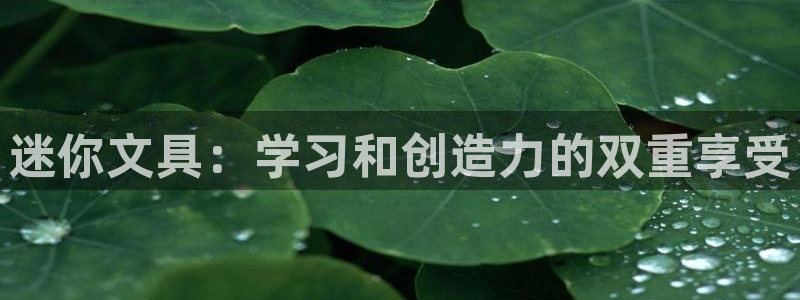 彩名堂app官方网：迷你文具：学习和创造