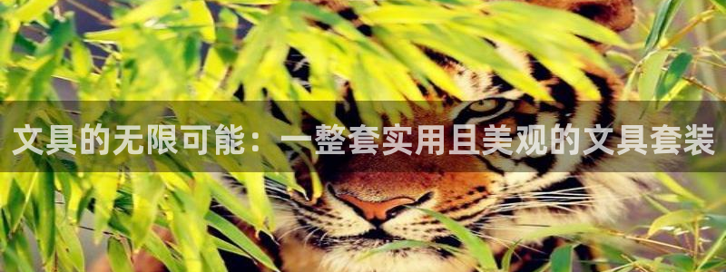彩名堂客户端是永久免费吗是真的吗：文具的