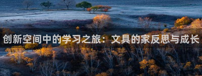 彩名堂是正规的公司吗：创新空间中的学习之