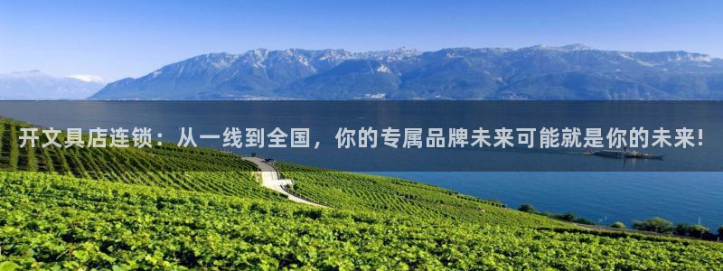 彩名堂官网计划客户端：开文具店连锁：从一