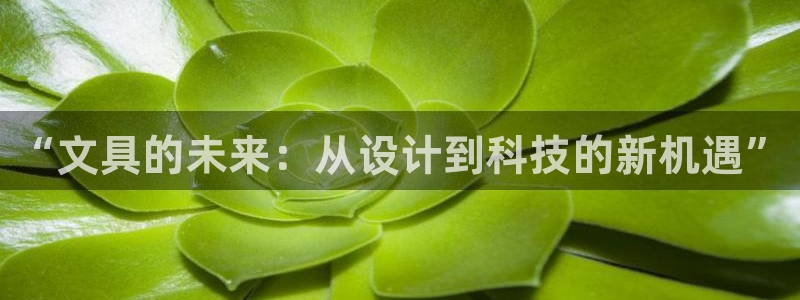 正规彩名堂官网计划：“文具的未来：从设计