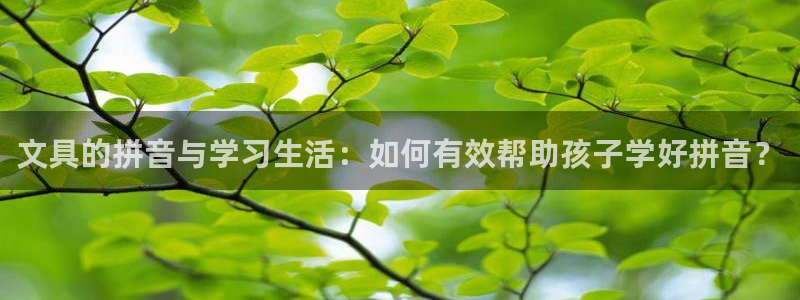 彩名堂预测官网：文具的拼音与学习生活：如