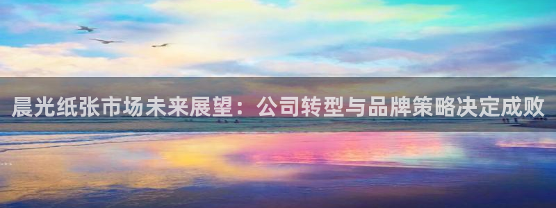 下载彩名堂预测计划软件：晨光纸张市场未来