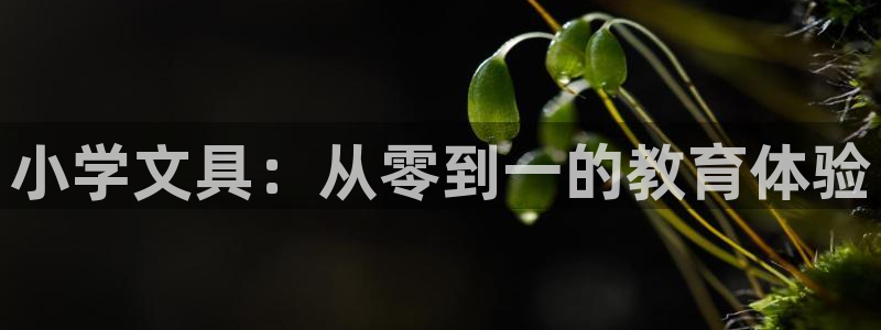 cmt彩名堂：小学文具：从零到一的教育体