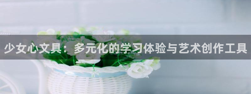 彩名堂预测：少女心文具：多元化的学习体验