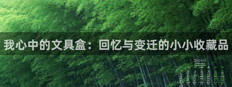 彩名堂官网计划怎么下载：我心中的文具盒：