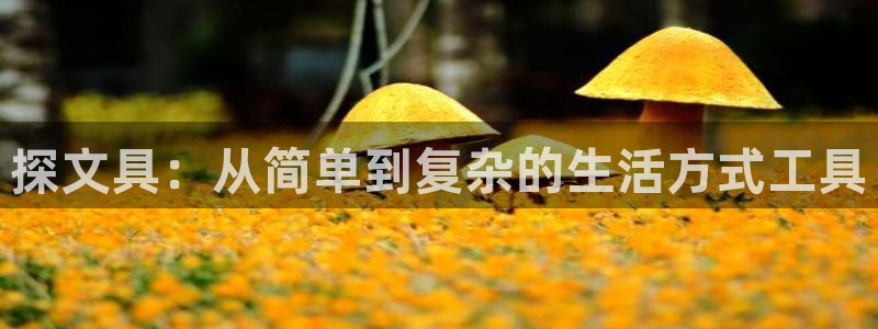 彩名堂5.0计划永久免费版为什么下不了：