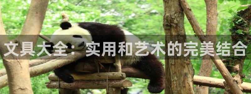 彩名堂人工计划客户端官网：文具大全：实用