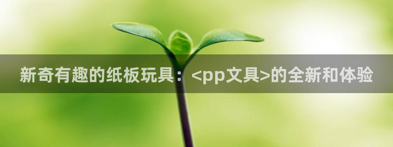 彩名堂5.0!：新奇有趣的纸板玩具：<p