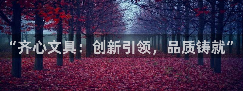 彩名堂开奖结果查询：“齐心文具：创新引领