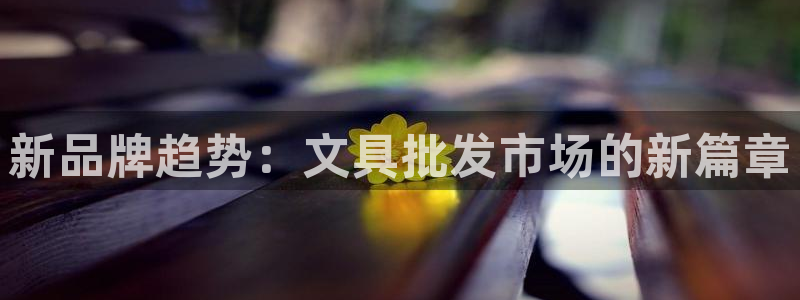 彩名堂计划技巧：新品牌趋势：文具批发市场