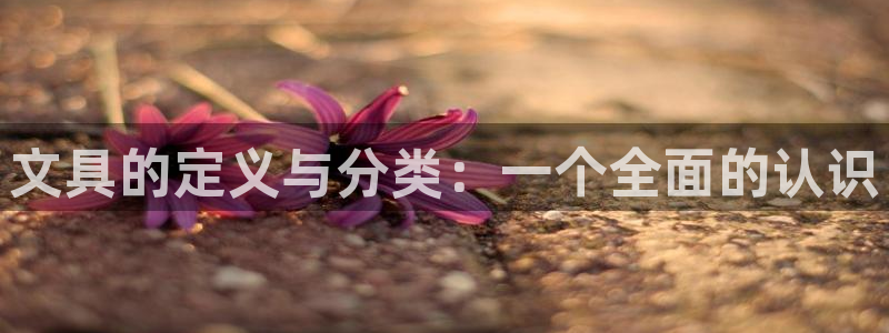 彩名堂到底怎么看,一跟就挂：文具的定义与