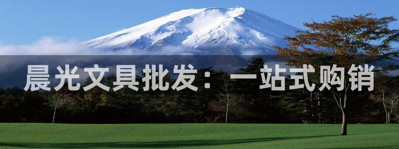 彩名堂计划和01计划怎么很稳：晨光文具批