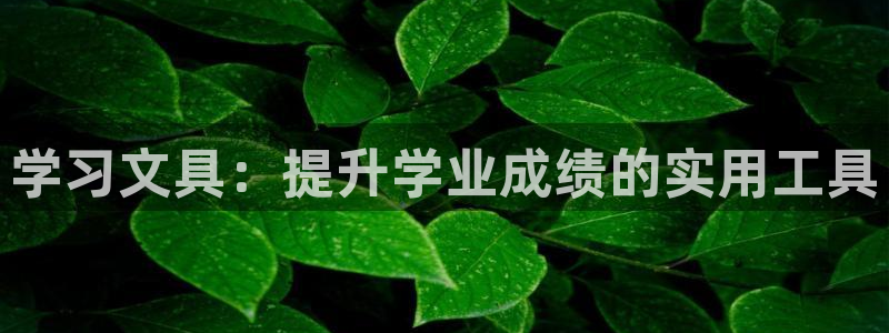 彩名堂客户：学习文具：提升学业成绩的实用