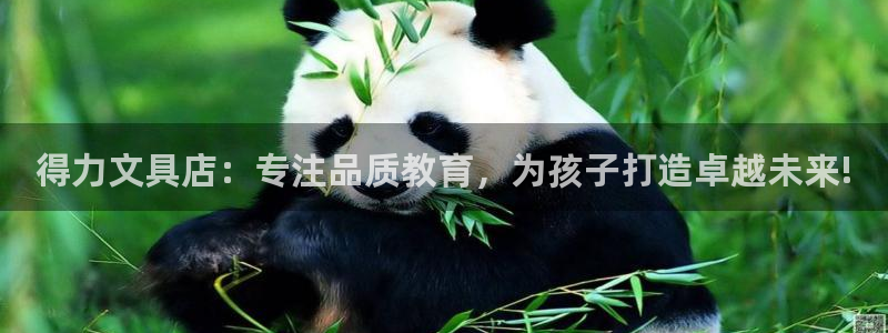 彩名堂为啥又不能用了：得力文具店：专注品