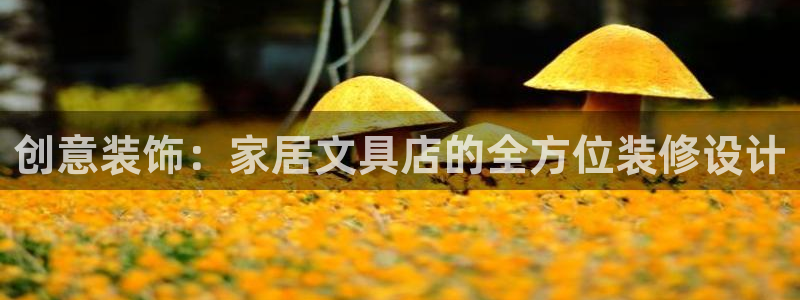 彩名堂免费计划5.0使用方法：创意装饰：