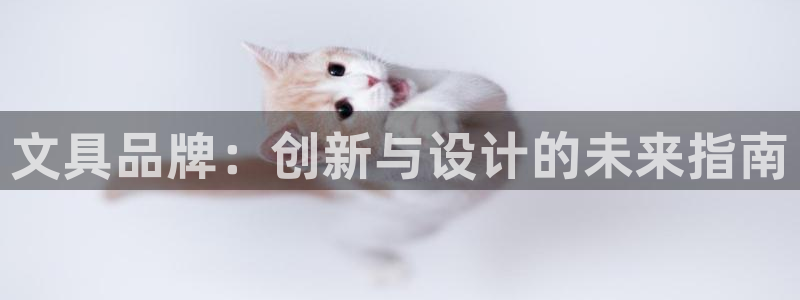 彩名堂客户端是永久免费吗安全吗知乎：文具