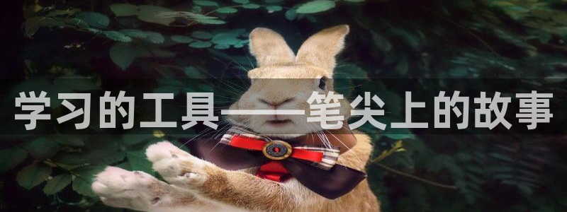 谁知道彩名堂网站是多少：学习的工具——笔