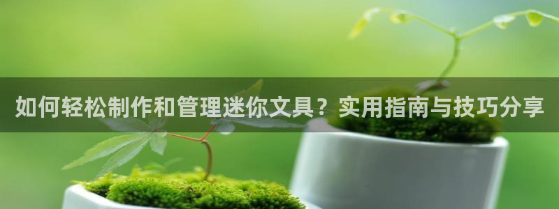 如何进入彩名堂官网更新：如何轻松制作和管