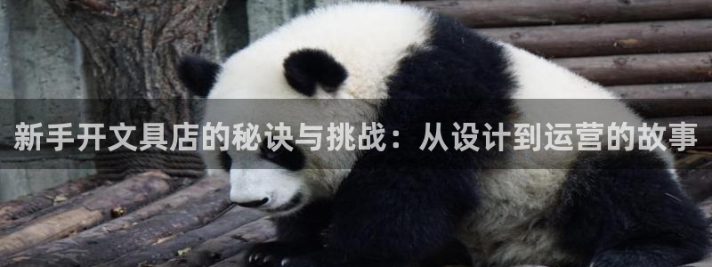 彩名堂移动客户端怎么下载：新手开文具店的