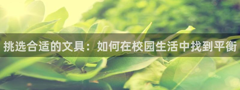 下载彩名堂预测计划软件：挑选合适的文具：