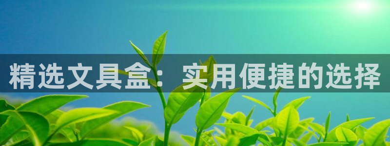 彩名堂计划官方客服：精选文具盒：实用便捷