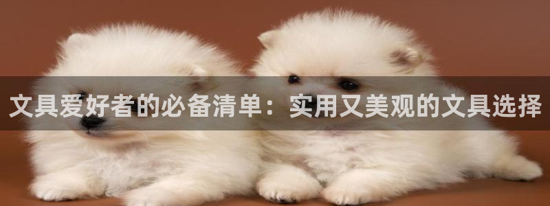 彩名堂图片：文具爱好者的必备清单：实用又