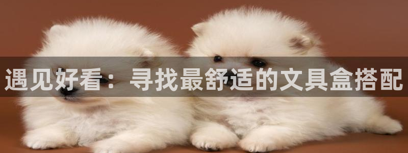 彩名堂免费计划客户端官网：遇见好看：寻找